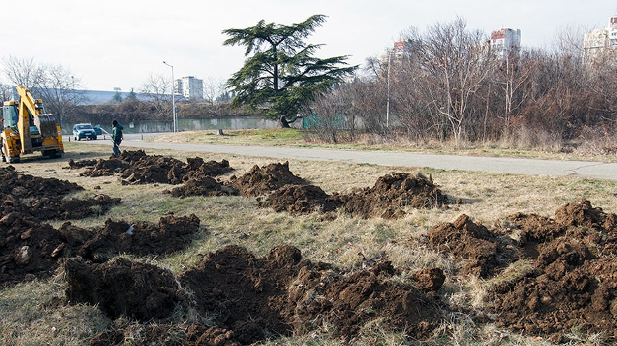 В парк Загорка засаждаме коледните дръвчета след празниците