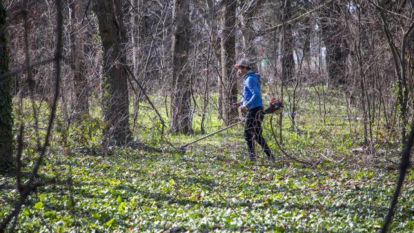 Почистват старозагорския парк Загорка