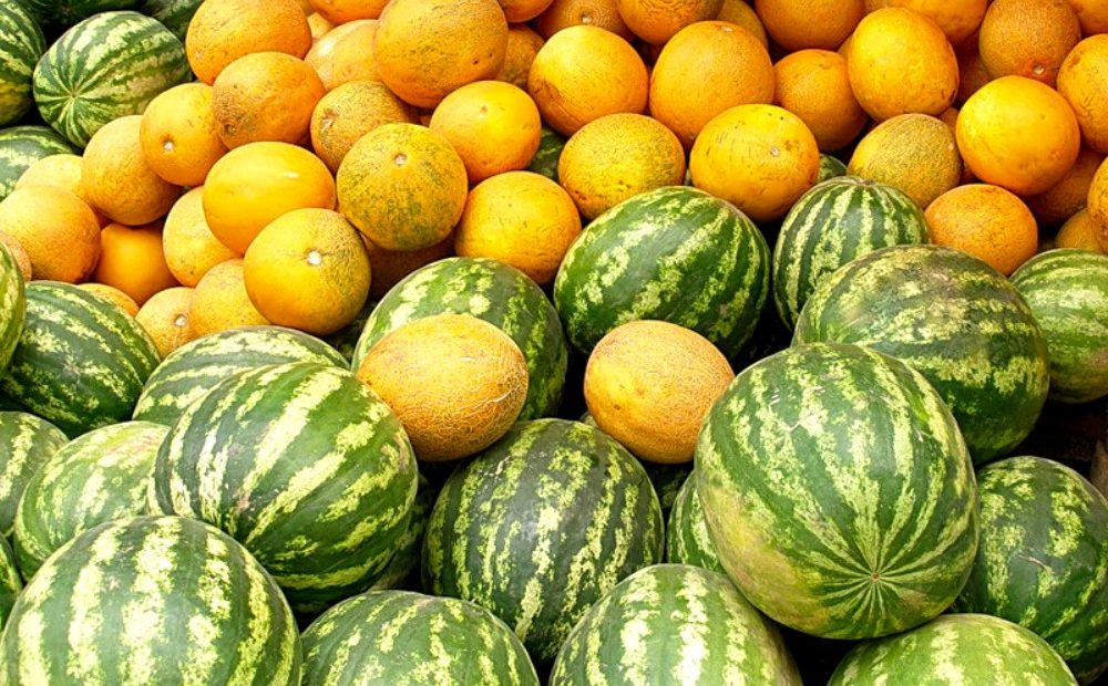 Определиха местата за продажба на дини и пъпеши през 2021 г.