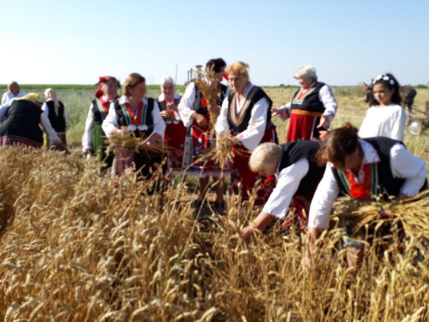 Празник на пшеницата организират в старозагорското село