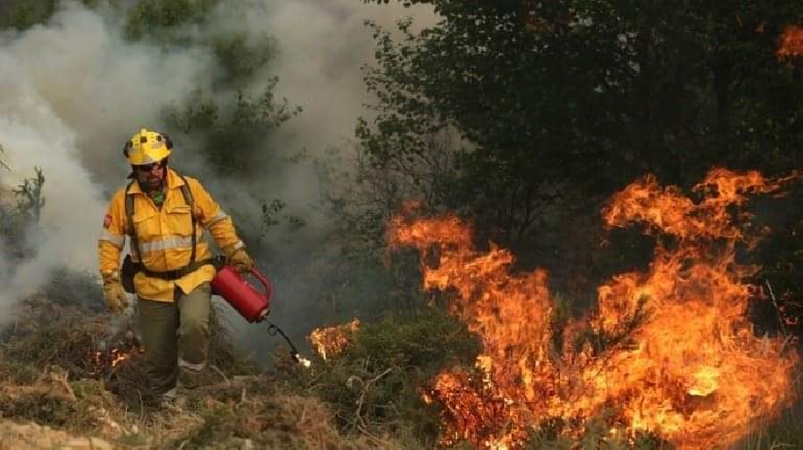 44 дка гори са опожарени на територията на ЮИДП  от началото на годината