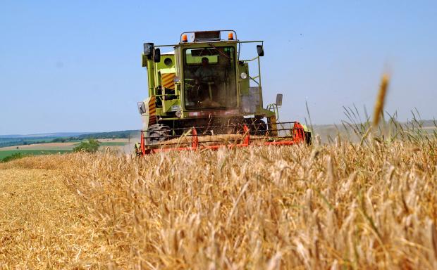 С 20 по-високи добиви от есенниците очакват в Старозагорско