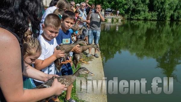 20 зеленоглави патета бяха освободени днес във водите на езеро Загорка