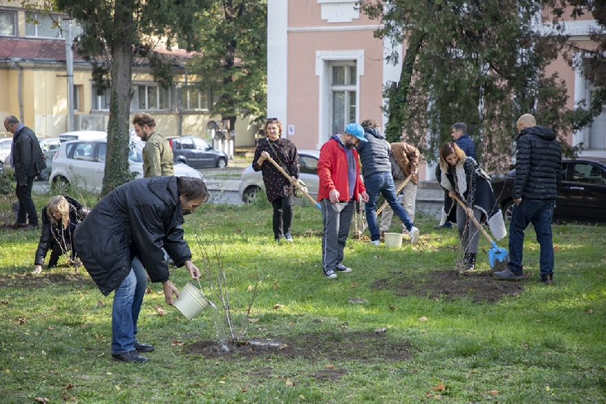 Актьори засадиха предпремиерно вишнева градина край старозагорския театър