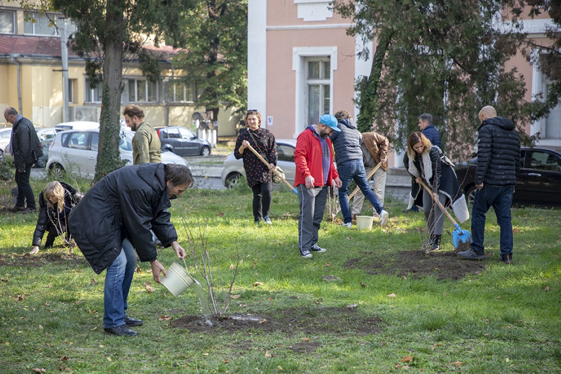 Актьори засадиха предпремиерно вишнева градина край старозагорския театър