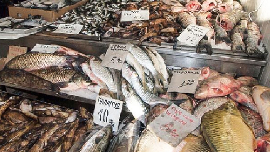 Унищожават 217 кг риба без документи, включително в Стара Загора
