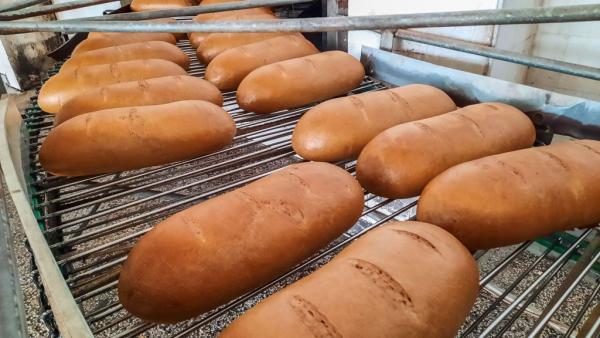 Хлебопроизводство СЗ вдигна цената на хляба с 30 стотинки