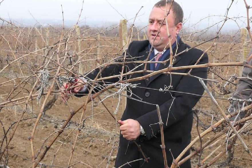 Аграрният министър заряза и обяви 4 нови мерки в помощ на лозарите