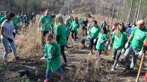 14 000 дръвчета подарява Гората.бг на Стара Загора