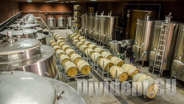 Подпомагат винарските изби с до 800 000 евро по мярка Инвестиции в предприятия