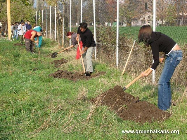 Старозагорци ще залесят 2500 фиданки в междублокови пространства и градинки