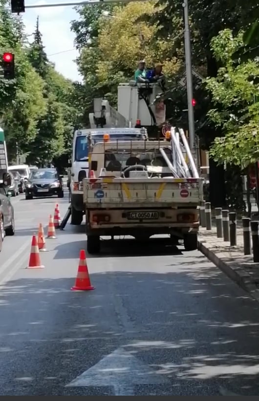 Започват дейности по повдигане короните на дърветата в Стара Загора