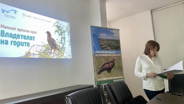Представиха мерки за опазване на малкия креслив орел в България