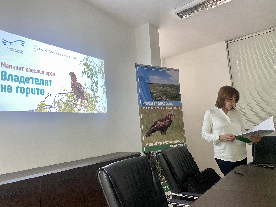 Представиха мерки за опазване на малкия креслив орел в България