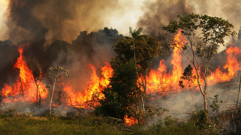 30 пъти са се увеличили пожарите в горите на Югоизточна България