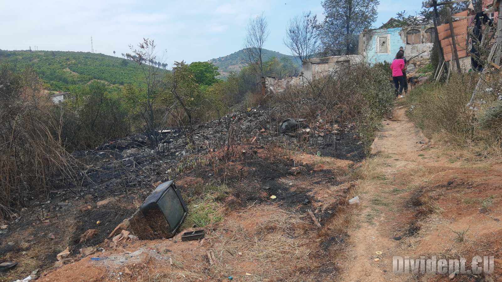Абсурдът  Зайчева поляна  – какво тлее в територията между закона и гората
