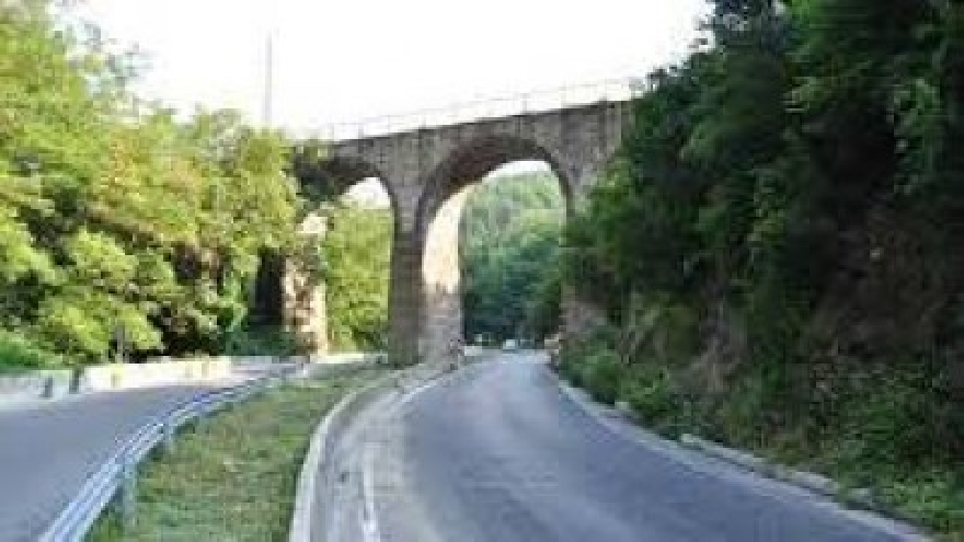 Временно е затворен пътят  Стара  Загора - Казанлък заради паднало дърво