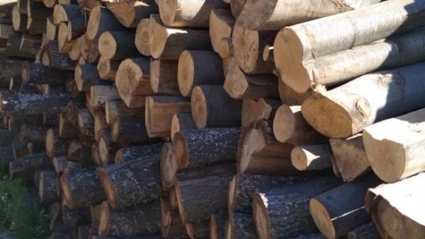 Дървесина за огрев от пожарите ще получат безплатно социално слаби в Казанлък