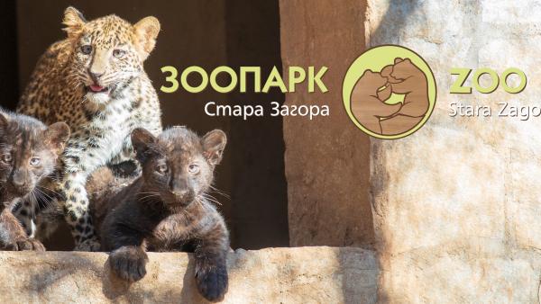 От утре влизат в сила новите цени за посещение в Старозагорския зоопарк