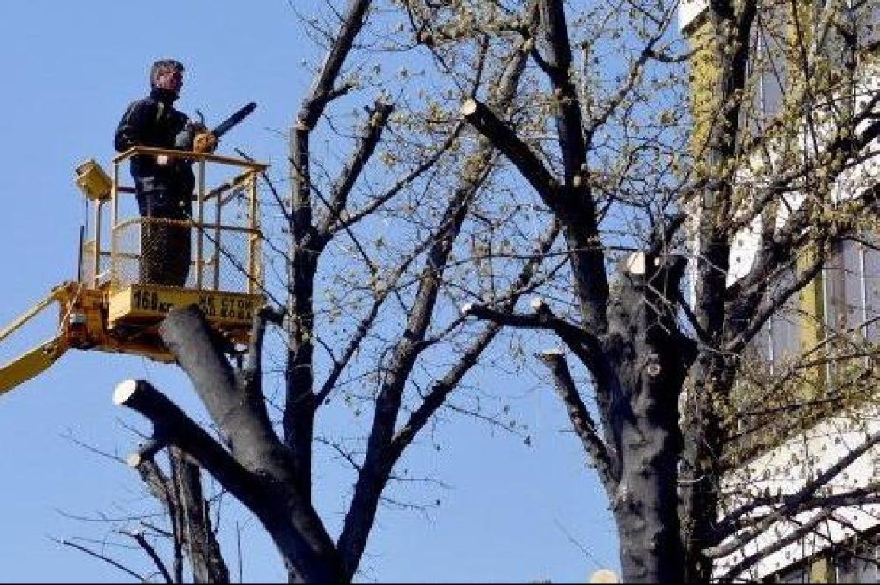 Променя се движението на места в Казанлък заради почистване на опасна растителност