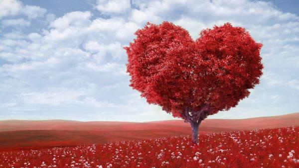 Любопитни факти около историята на празника на любовта - Свети Валентин