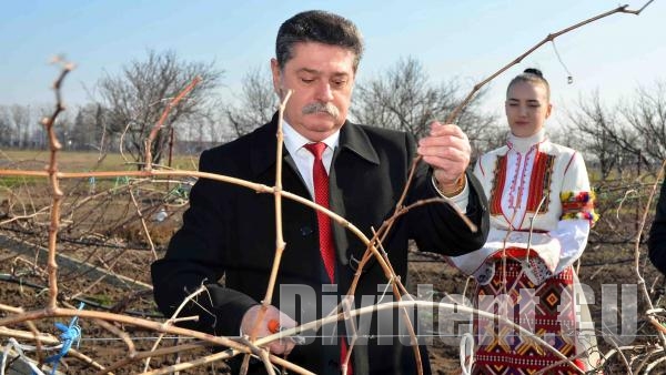 Зарязаха лозята на Тракийски университет за здраве и берекет