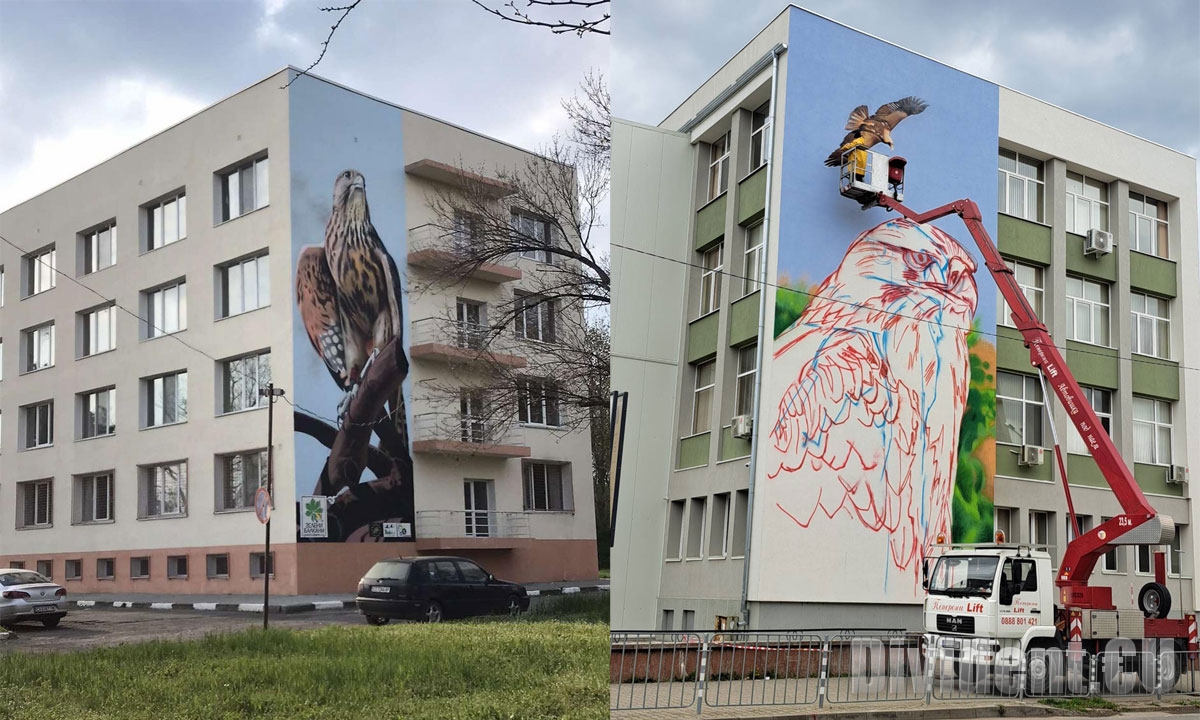 Графити на застрашени птици кацнаха върху училищни сгради в Стара Загора