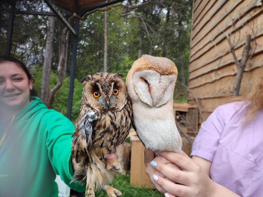 Десетки спасени диви птици намериха нов дом в Зоопарк Стара Загора