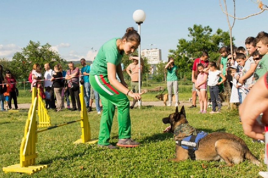 Празник за деца и кучета и тази година в парк  Зелен клин