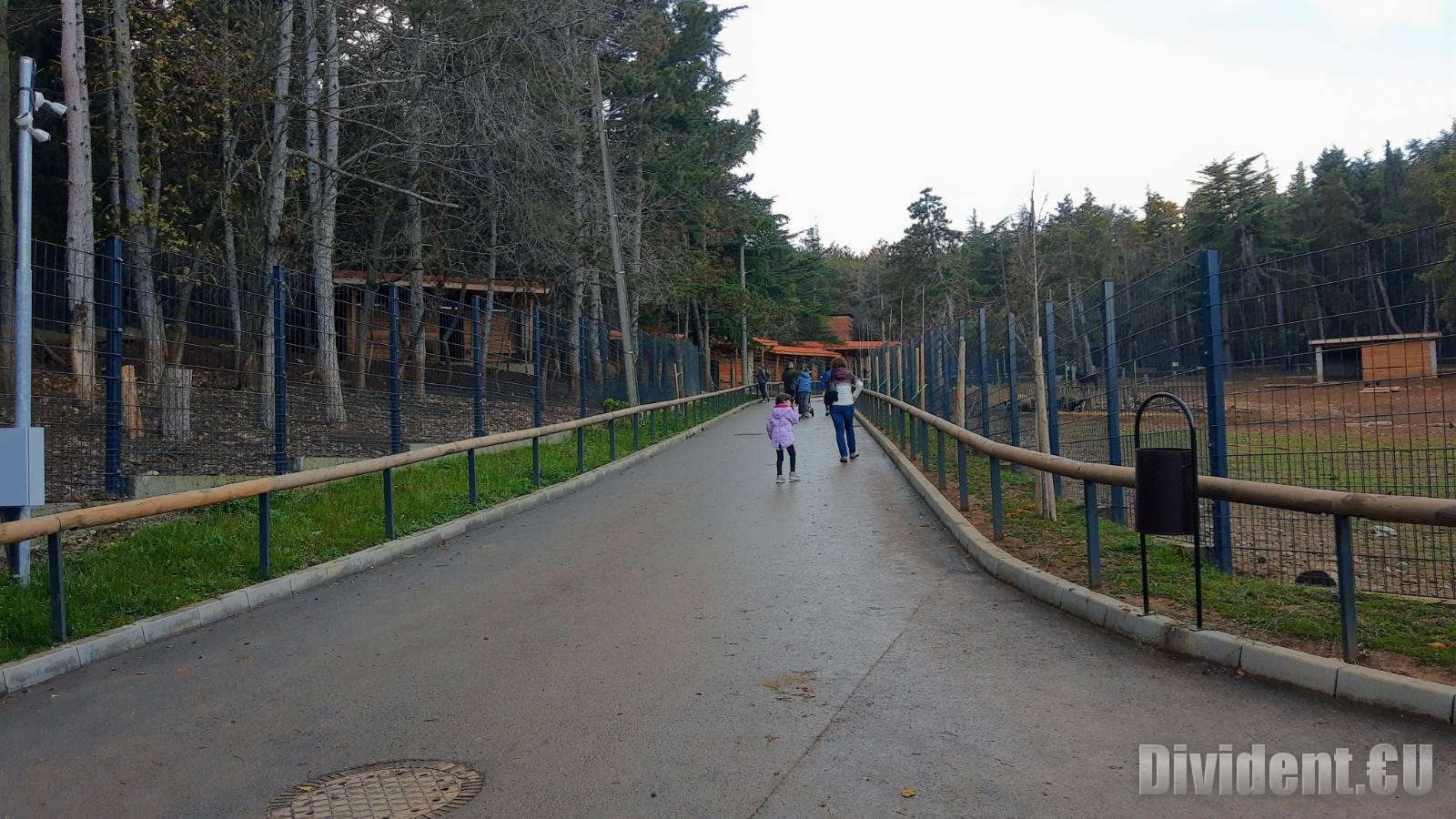 Леопард избяга от клетката си в зоопарка в Стара Загора, евакуираха посетителите