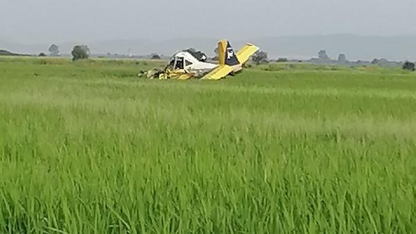 Малък самолет катастрофира в ято птици край Раднево