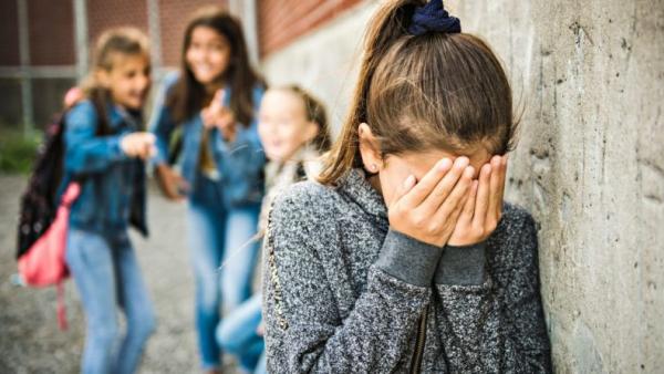МОН: Голяма част от агресията в училище се дължи на проблеми в семейството