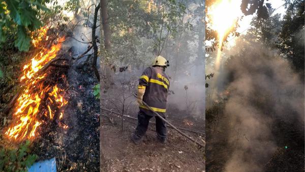 Потушиха пожар на Старозагорските минерални бани само на 15 метра от боровата гора