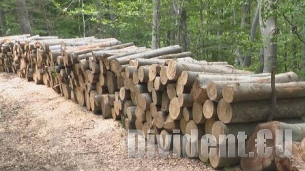 Заявките за дърва за огрев в Старозагорско отбелязват ръст от 4 000 кубика