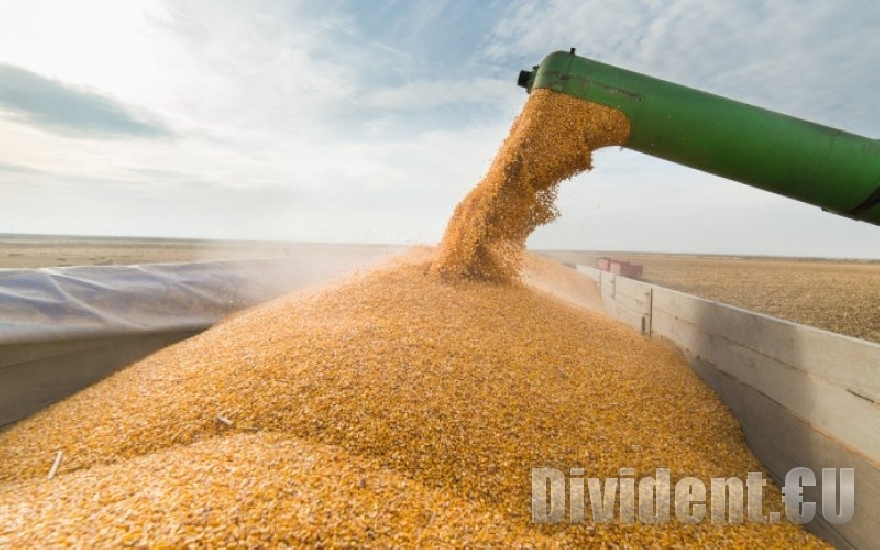 Земеделците се готвят за протест, искат да продължи забраната на вноса на украинско зърно