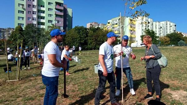 Брези и вишни красят южната част на парк Артилерийски в Стара Загора