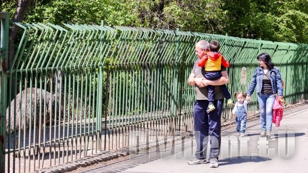 Три деца са били ухапани от животни в зоопарка на Стара Загора през празниците